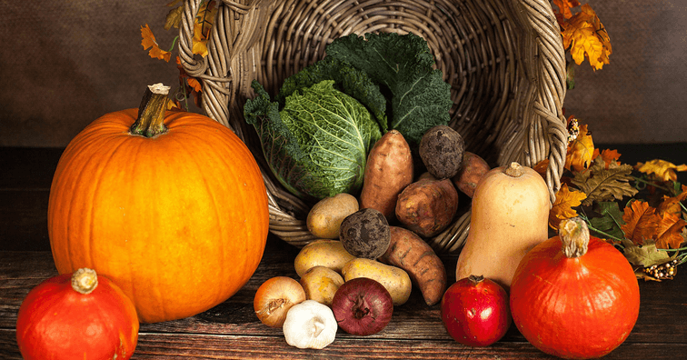 Premeny špajze: Ako efektívne upratať a zorganizovať veci Premeny špajze: Ako efektívne upratať a zorganizovať veci