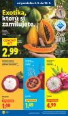 Lidl leták – strana 6